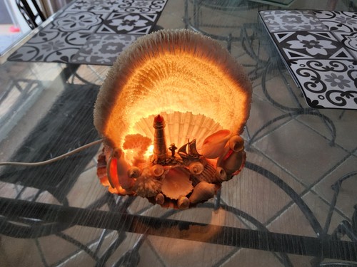 Lampe coquillage tres jolie - lampe,